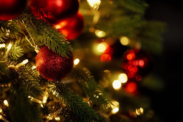 Statesman Rail - Statesman Christmas Luncheon Circular - travelling to 
